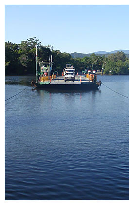 Selva humida tropical: Daintree